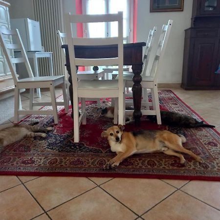 B&B Isoladelsole ペルレード エクステリア 写真