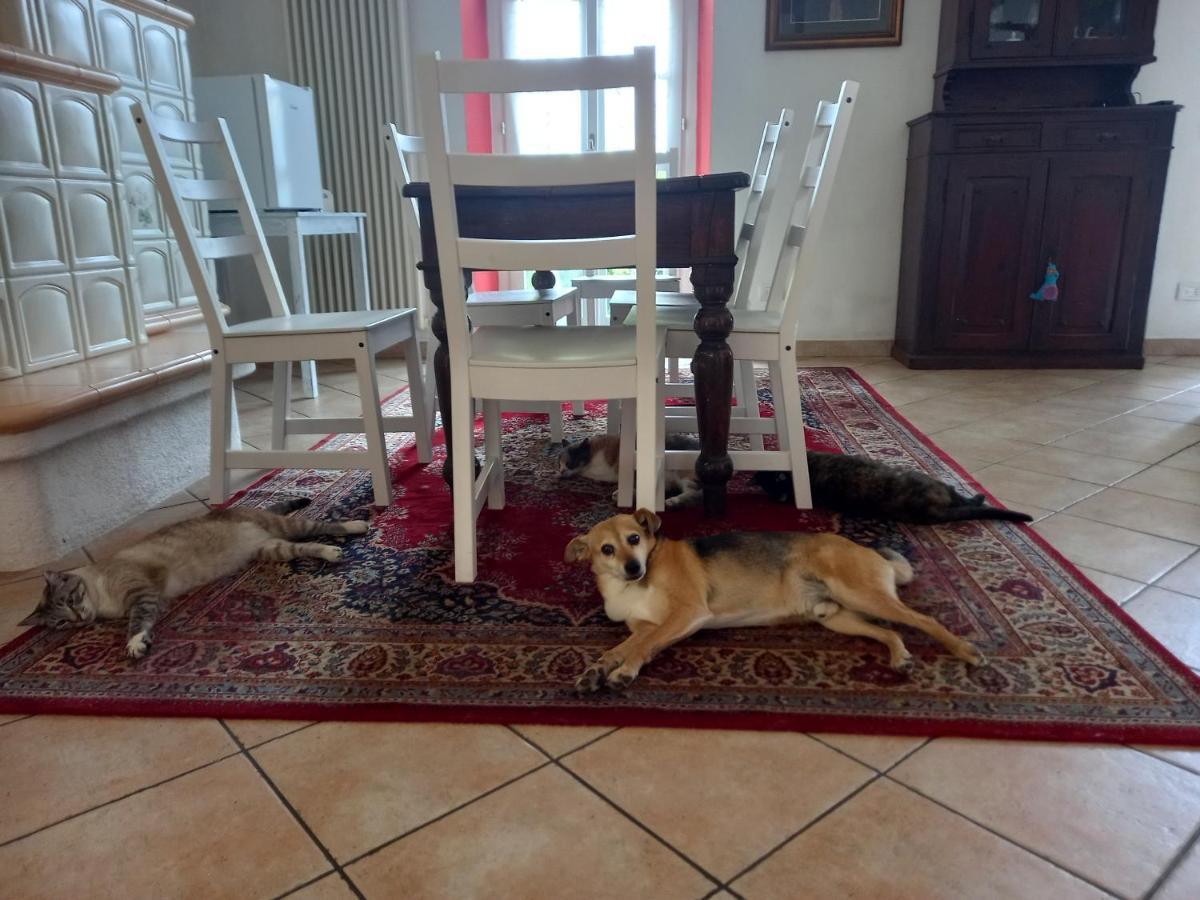 B&B Isoladelsole ペルレード エクステリア 写真